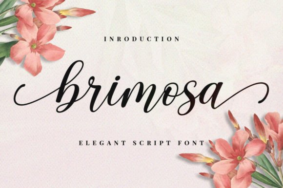 Elevate Web Design with the Brimosa Typeface